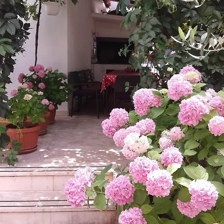 Zvonimir Apartment Slatine